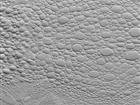 Frog  - Ceiling Tile Design