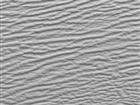 Shark  - Ceiling Tile Design