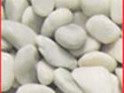 Carrara White