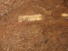 Cabernet Sands