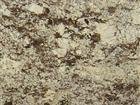 Delicatus White
