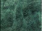 Arihant Leaf Green