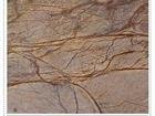 Rainforest Brown