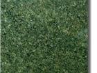 Green Galaxy