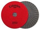 Polishing Pads