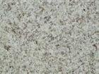 Siena White