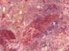 Breccia Pernice Classica