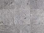 Silver Gray (OSTRICH)