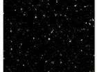 Black Galaxy