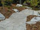 Landscaping 59
