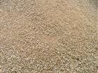Landscaping -63