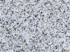 Paris White