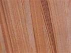 Teak Wood