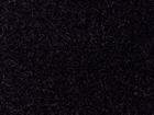 Shanxi Black