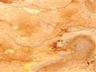 Marble Material - Alba Rose
