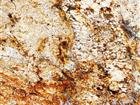 Zeus Gold