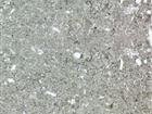 Grigio Argento
