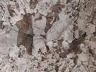 Granite Bianco Antico