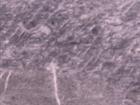 Alivery Grey