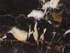 Black & Gold