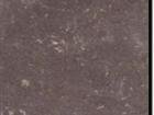 Spectra Coco Polished