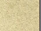 Spectra Gold Polished