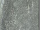 Spectra Grey Polished