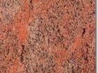 Red Multi Colour(Tamin)