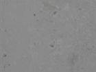 Biancone