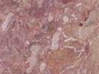 Breccia Pernice
