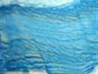 Azul Macauba