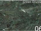 Green Olivine