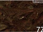 Tobacco