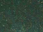 Seaweed Green
