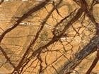 Antique Brown
