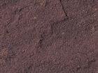 Dholpur Brown Nat
