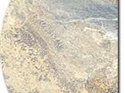 Golden Sand Dune