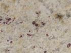Bianco Antique