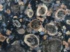 Blue Shells Granite