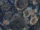 Blue Shells Granite