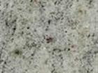Kashmir White
