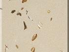 Crema Madreperla