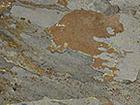 Autumn Slate