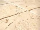 Limestone 115 Tumbled