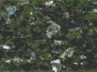 Emerald Pearl