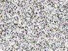 Grissal