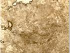 Travertine Walnut