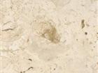 Miscelaneous slab Honed 3/4