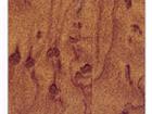 Marble Laminate