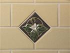Trillium